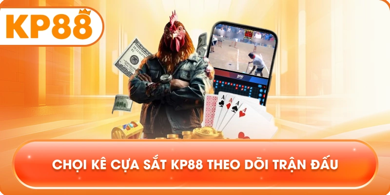 Chọi Kê Cựa Sắt KP88 theo dõi trận đấu