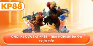 Chọi Kê Cựa Sắt KP88 – Trải nghiệm đá gà trực tiếp