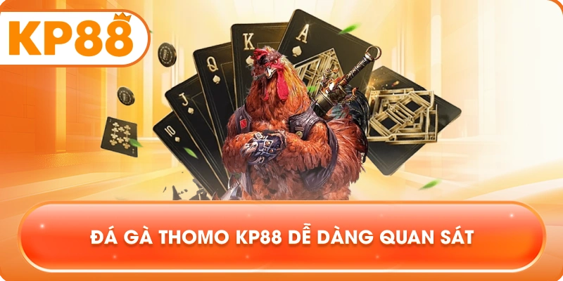 Đá Gà Thomo KP88 dễ dàng quan sát