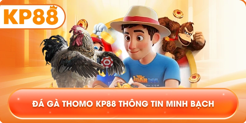Đá Gà Thomo KP88 thông tin minh bạch