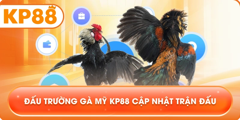 Đấu Trường Gà Mỹ KP88 cập nhật trận đấu