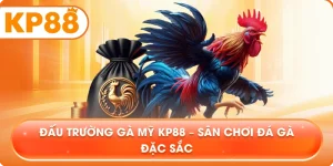 Đấu Trường Gà Mỹ KP88 – Sân chơi đá gà đặc sắc