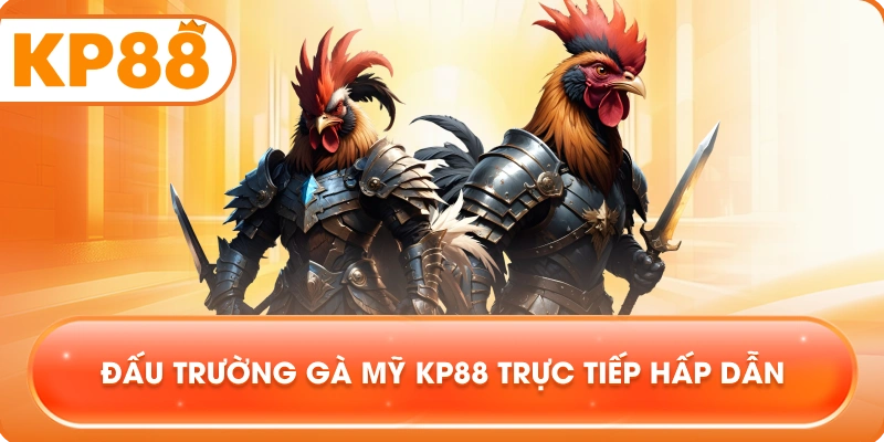Đấu Trường Gà Mỹ KP88 trực tiếp hấp dẫn