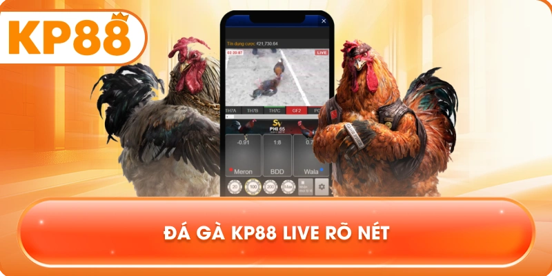 Đá Gà KP88 live rõ nét